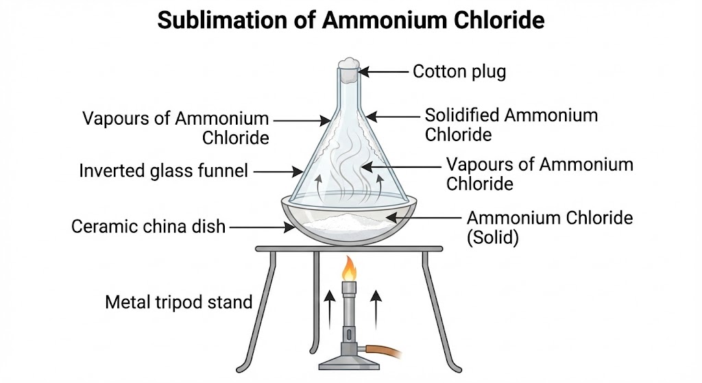 Sublimation Experiment Setup